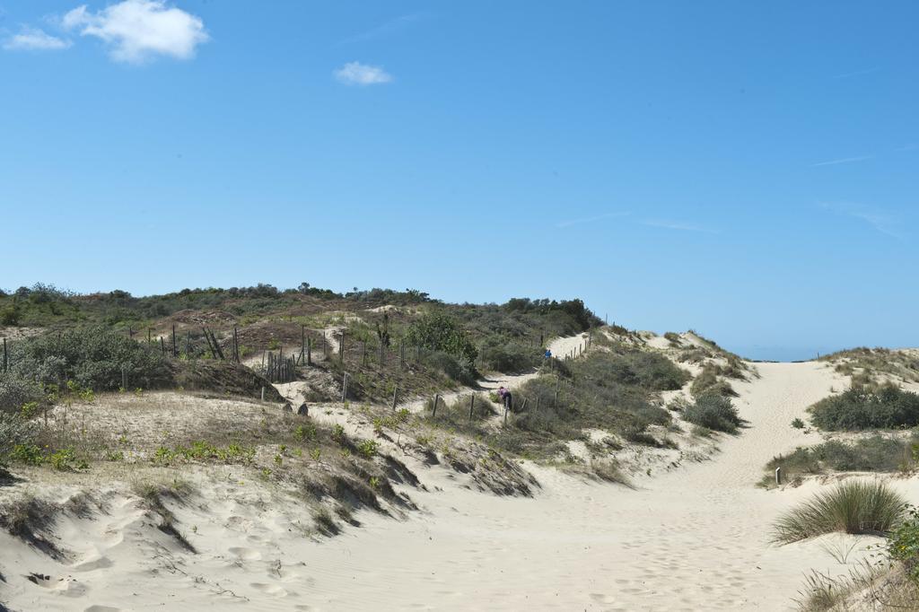 Evancy Etoile De Mer Bray-Dunes Dış mekan fotoğraf